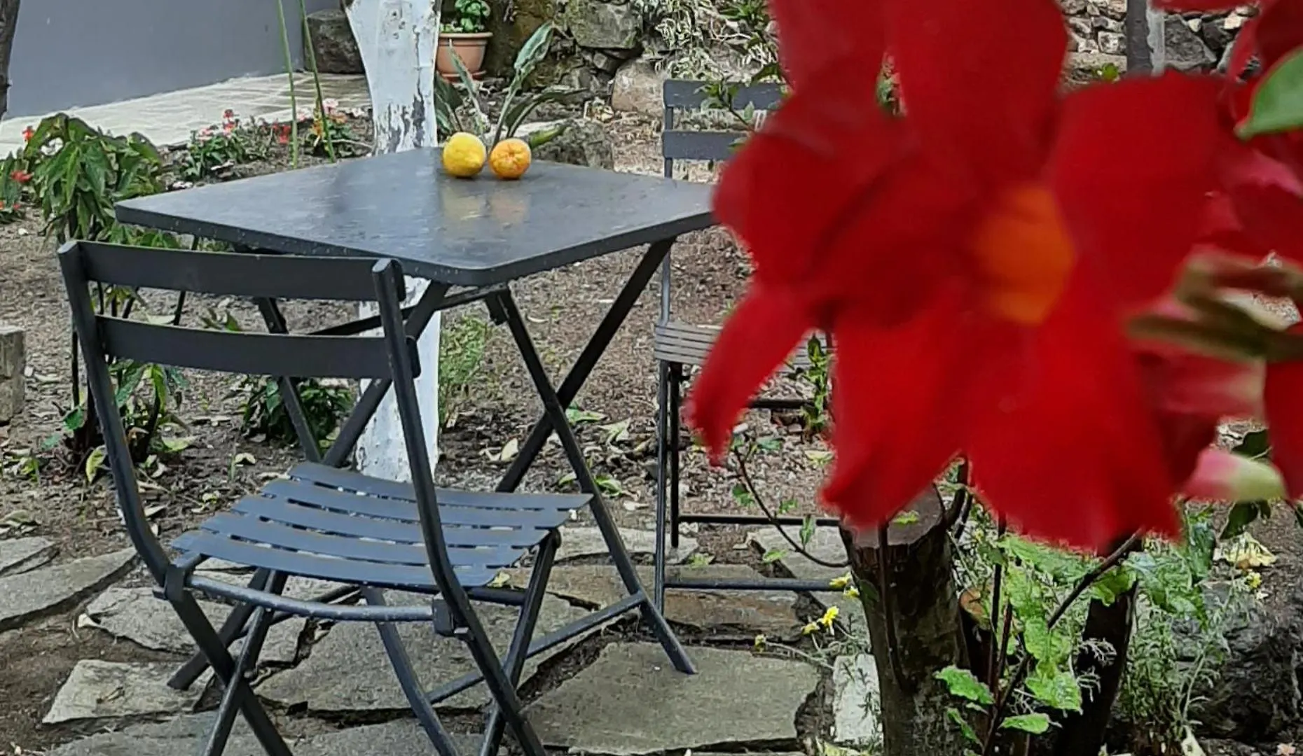 Profumo Di Calicanto Tresnuraghes Bed and Breakfast